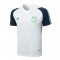 Camiseta de Entrenamiento Ajax 23-24 Verde