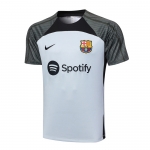 Camiseta de Entrenamiento Barcelona 2023-24 Gris