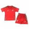 1a Equipacion Camiseta Gales Nino 2024