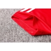 Camiseta Polo del SC Internacional 20/21 Rojo