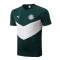 Camiseta de Entrenamiento Palmeiras 2022-23 Verde