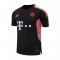 Camiseta de Entrenamiento Bayern Munich 2022-23 Negro